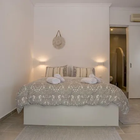 Guest house Blue Andros Town