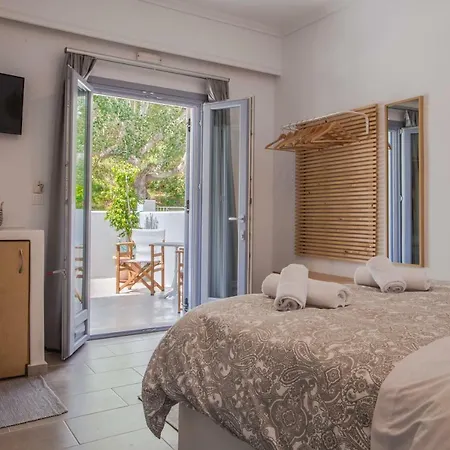 Guest house Blue Andros Town